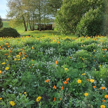 Châtillon-sur-Marne Roulotte Panoramique Du Moulin Bed & Breakfast エクステリア 写真
