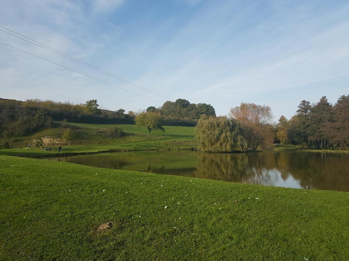 Châtillon-sur-Marne Roulotte Panoramique Du Moulin Bed & Breakfast エクステリア 写真